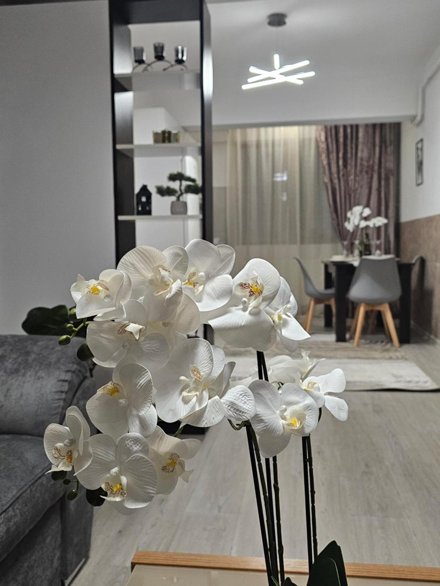 Enjoy My Home Near Palas Mall 2 ياش المظهر الخارجي الصورة